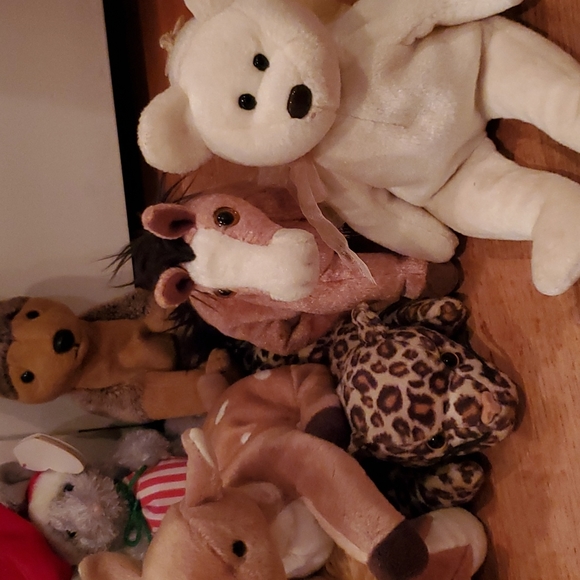 Beanie Baby Bundle (20) - Picture 2 of 6